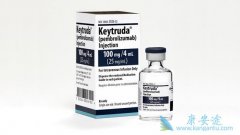 PD-1����Keytruda����Opdivo��ŷ�޻���һ�����Ʒ�Сϸ���ΰ�