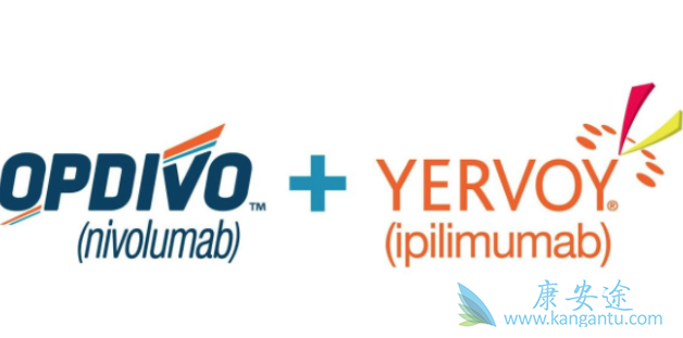 PD-1抑制剂 PD-1抑制剂