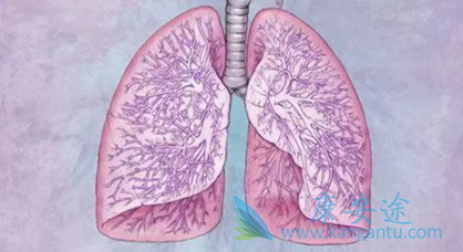 �����쵥��ע��Һ