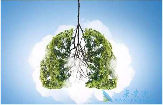 Ԥ���ΰ�����