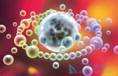 ��ƥ����(Ipilimumab)������HPV��ص�ת�ƻ򸴷�������Ч�����