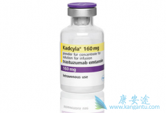 ���ٰ���ҩT-DM1һ��������ɫ�Ŀ�������ҩ��