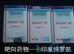 �����������޿�(Erlotinib)�ΰ����߻����Է���ӡ�����޿�