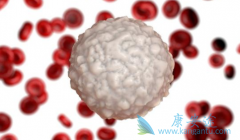 ��³����(Ibrutix)ʧ�ܺ�CLL���߲���CAR-T���ƿ�����