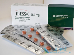 EGFR����ҩ����ҩ֮������ͻ�为��TMB���ӵ�ԭ��