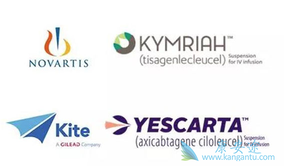 CAR-T疗法 CAR-T疗法