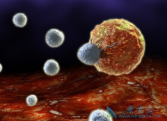 CAR-Tϸ�������Ʒ���CAR-T�е�����ЩҪ��