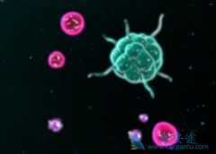 CAR-T�Ʒ�Kymriah��ʹ�����Դ�Bϸ���ܰ���������ȫ�����ʴ�40%