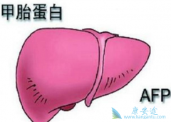 ������־����˼�̥���׻�����Щ��