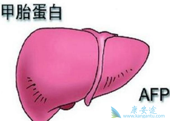 甲胎蛋白 甲胎蛋白