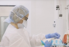 ϸ�����������Ʒ�Ŀǰ����CAR-Tϸ��֮�⻹����ЩЧӦϸ����