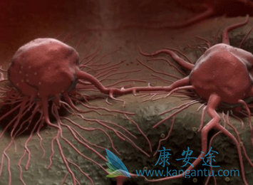 硼替佐米 硼替佐米