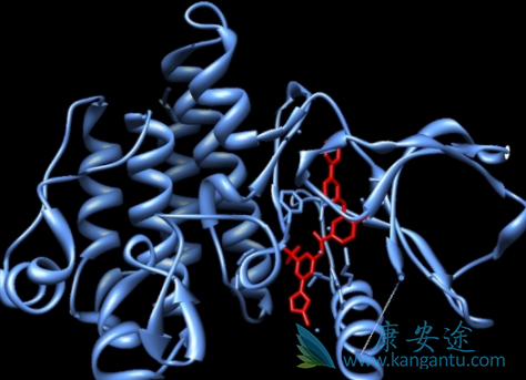 帕纳替尼 帕纳替尼