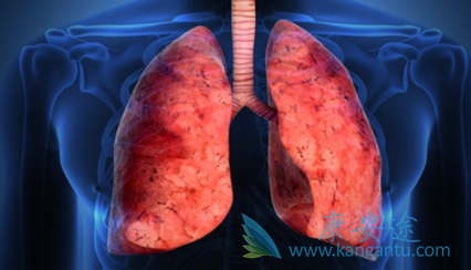 布吉他滨 布吉他滨