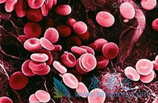 鲁索替尼 鲁索替尼