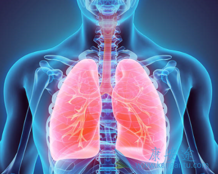 尼达尼布 尼达尼布