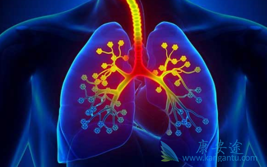 尼达尼布 尼达尼布