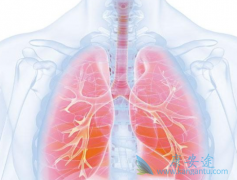 �ĸ��汾�Ŀ�������(crizotinib)�۸������