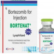 ��������(BORTENT)����ֹ��������ֲ����鵼���ųⷴӦ��