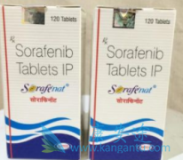 ӡ�ȶ༪��(Sorafenib)�ɺ͵¹��༪���໥���