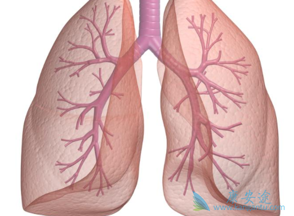 吡非尼酮 吡非尼酮