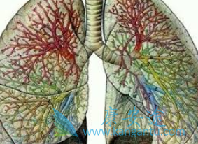 尼达尼布 尼达尼布