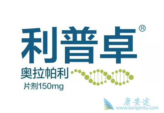 PARP抑制剂 PARP抑制剂