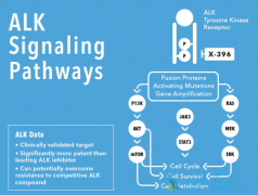 Ensartinib����Էΰ����Ƶ���һ��ALK���Ƽ�