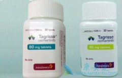 ������ϣ����(Osimertinib)�ܷ�ȡ��һ������EGFR TKIs��Ϊһ����ҩ