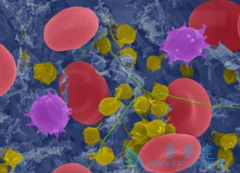 ���ǶȰ�/�����׵����ϱ���Ī˾͡����������ϸ���ܰ���������