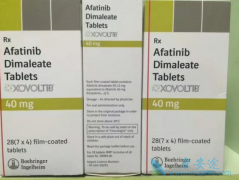 ��������(Afatinib)������ɳ���ӳ�������ʧ��ʱ��������������