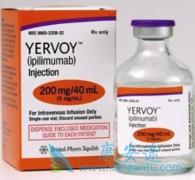 ��ƥľ����