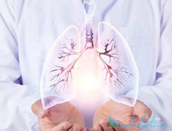 ����ά��