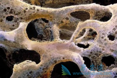 ��ŵ����/��ŵ�������ƹ�������ʱ���÷�����