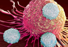 ����ѪҺ��֢CAR-T�Ʒ�����������������ļ�����