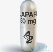 ��������(Olaparib)���й����ߵ�����Ч����������Ⱥ�в����