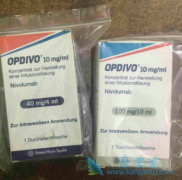 ���䵥��(nivolumab)��ΰ�����ҩ����ʱ�����Ӽ����Է��׷�������