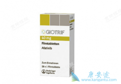 �������ᣨAfatinib������EGFRͻ��ķ�Сϸ���ΰ����ߵ���Ч