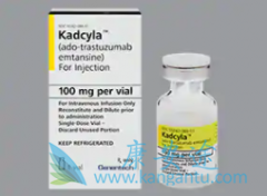 T-DM1(Ado-trastuzumab)������HER2�������ٰ����кζ���֮��
