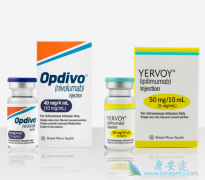 ��֢�����Ʒ�PD-1���Ƽ���CTLA-4������ͬն��ŵ����ҽѧ��