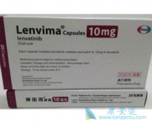 �ַ�����(Lenvatinib)/�ط�����ĸ����ý϶༪���̶ȸ���