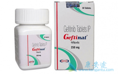 Ŀǰ����ɳ/��������һ���ж��ٸ��汾��