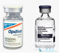 PD-1�������Ƽ�Keytruda��Pembrolizumab���ڶ����֢�����б�������