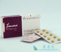 ���ڷ���������(Letrozole)�ĳ������ʼ����