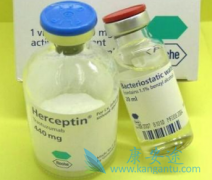 ������HER2������Ĳ�ͬ��֢����͡��ҩ��ʽ����α仯��