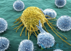 ��ϸ���ĳ���������΢����֮��Ĺ�ϵ