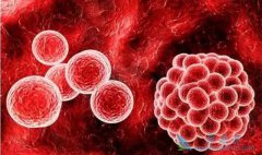 ��������ٰ����Ʒ�������Ч����