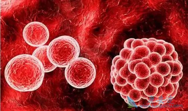 ���ٰ�����