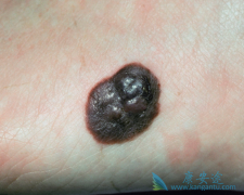 ��ͬ���ڵĺ�ɫ���������Ʒ����кβ�ͬ