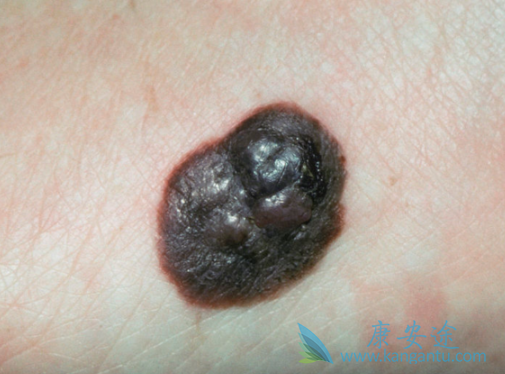 ��ɫ����